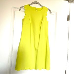 J.Crew Laser Scallop Cut Citron Shift Dress